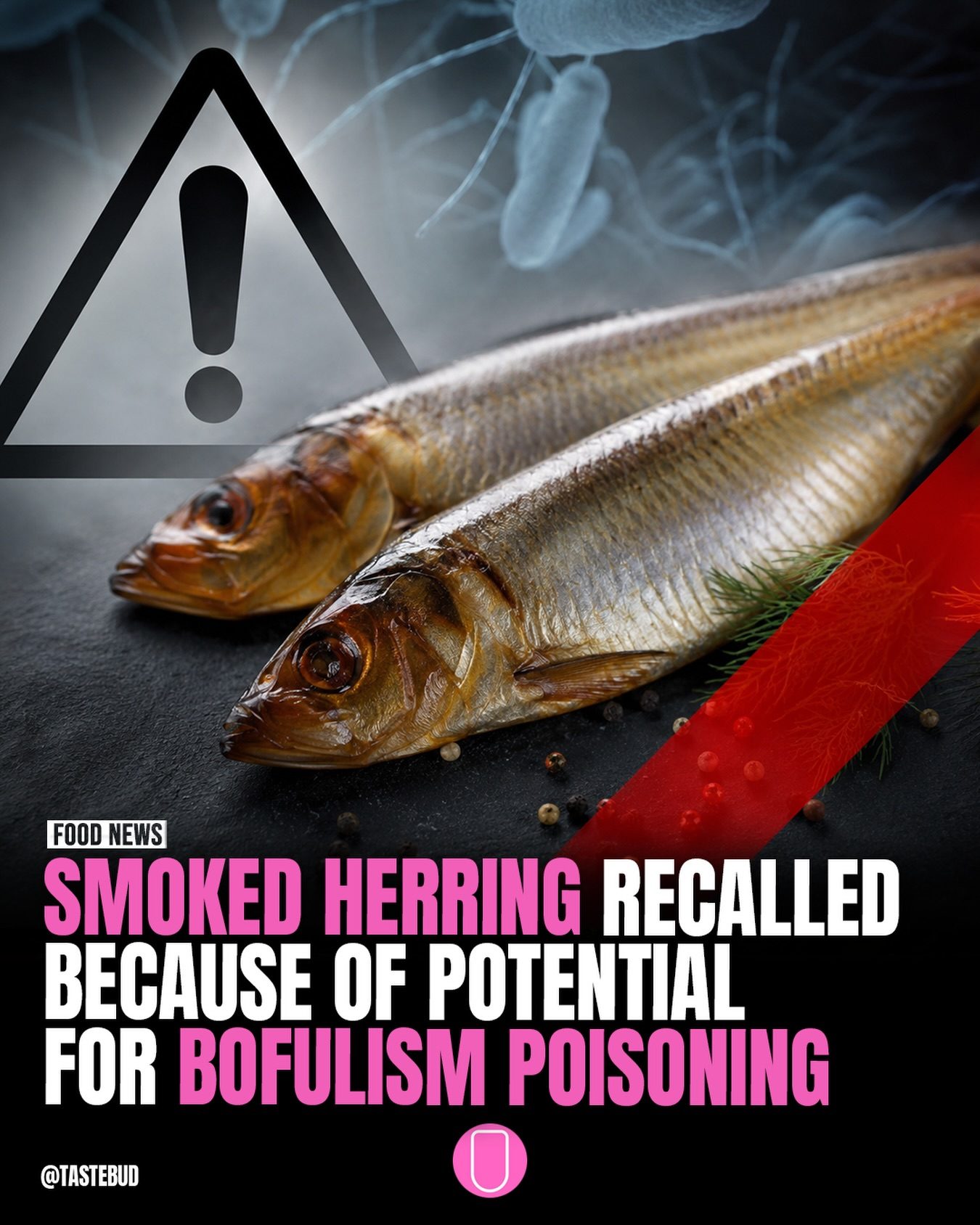 Terra Medi Issues Smoked Herring Recall Due to Botulism Risk