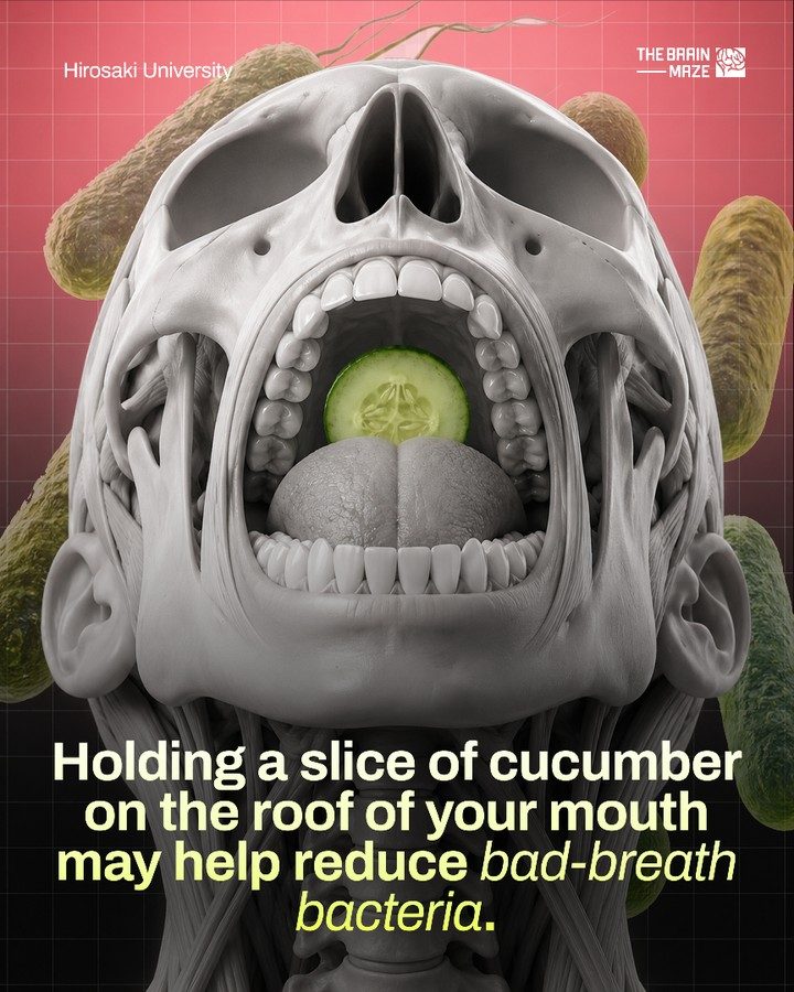 Cucumber Hack for Fresh Breath