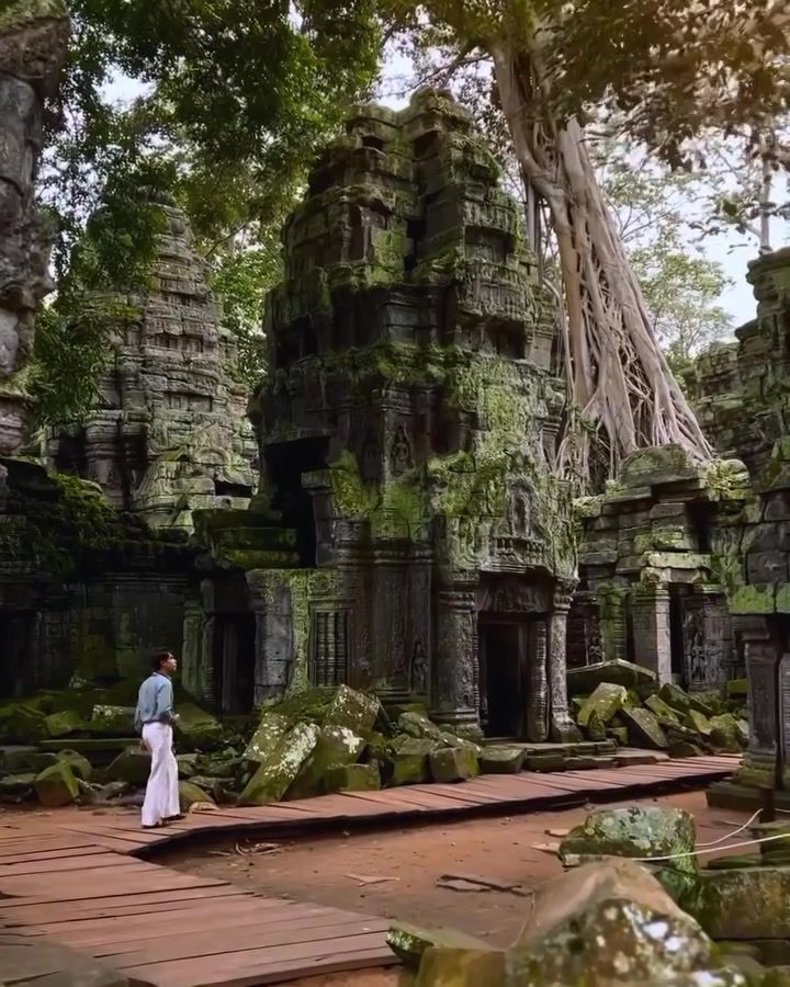 Exploring Cambodia's Ancient Temples: Ta Prohm and Khmoch Gate