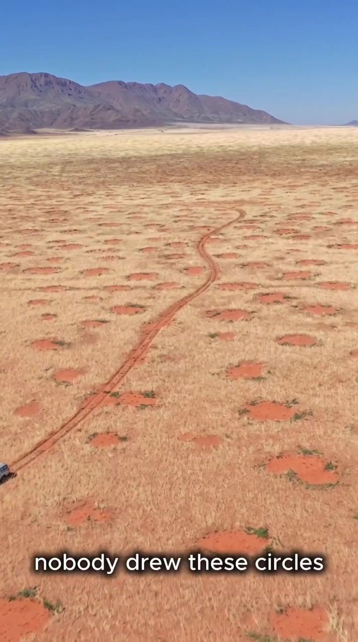 The Mysterious Fairy Circles of Namibia