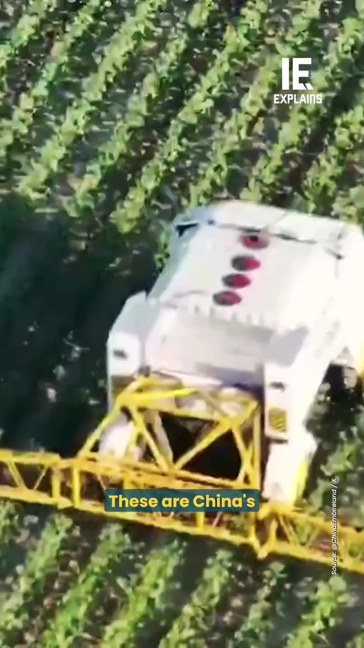 Automation in Xinjiang: Robots Revolutionize China's Cotton Farming
