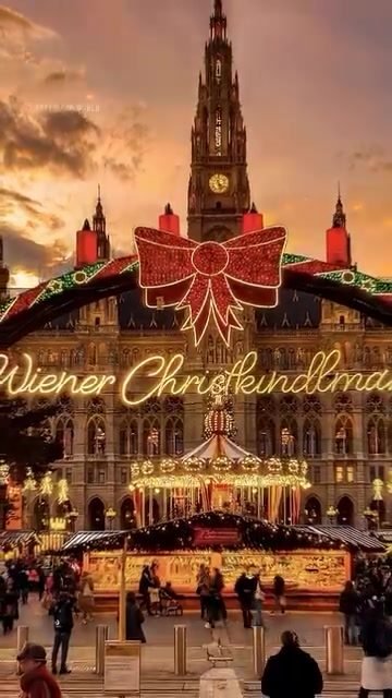 Explore the Magic: Vienna Christmas Market Highlights