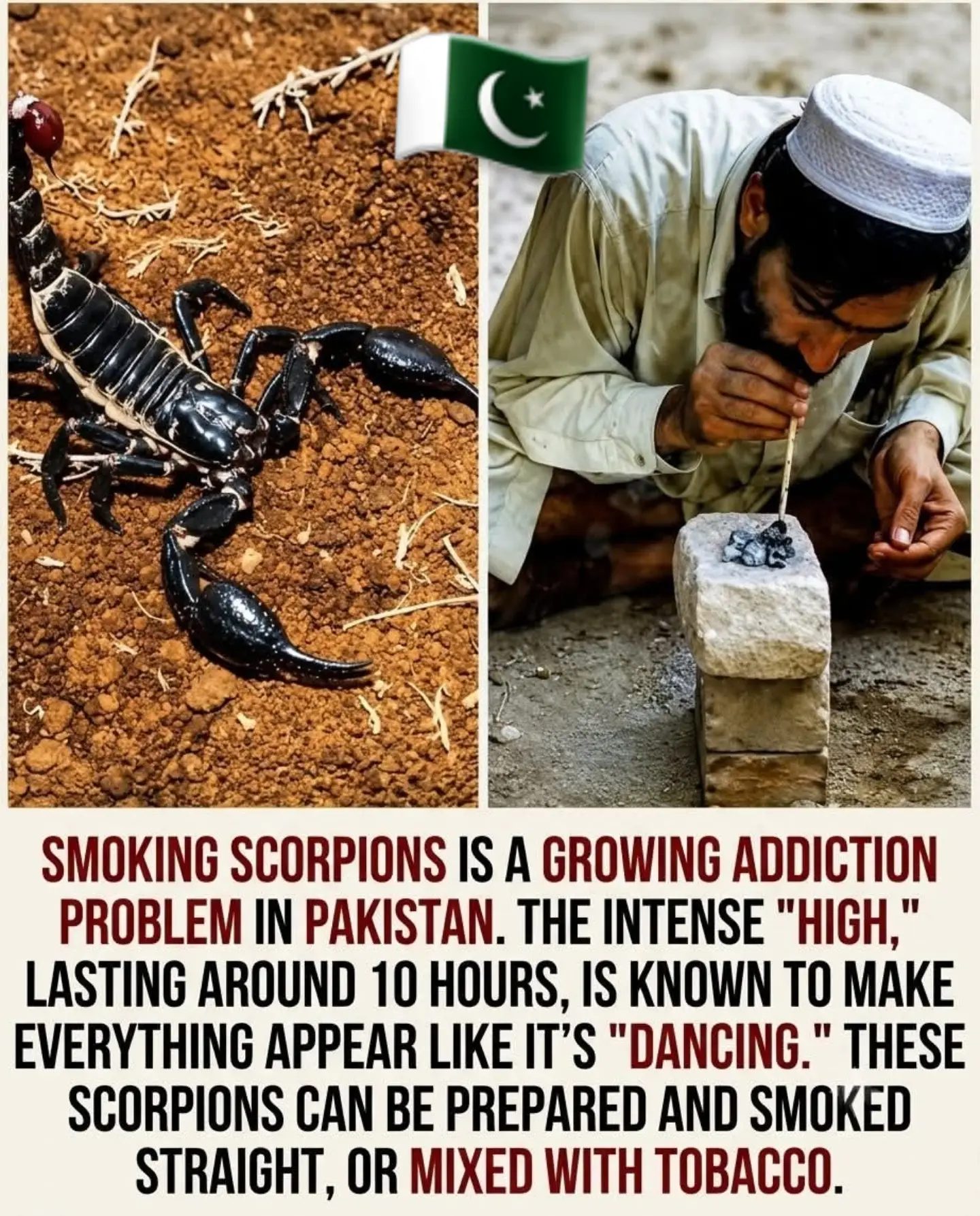 Scorpion Smoking Trend in Pakistan: Risks and Effects