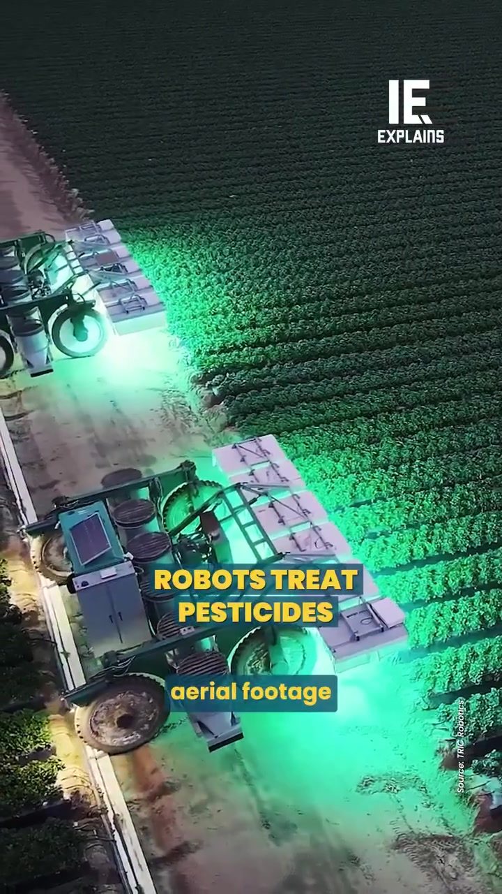 UV-C Light Robotics: Revolutionizing Strawberry Pest Control