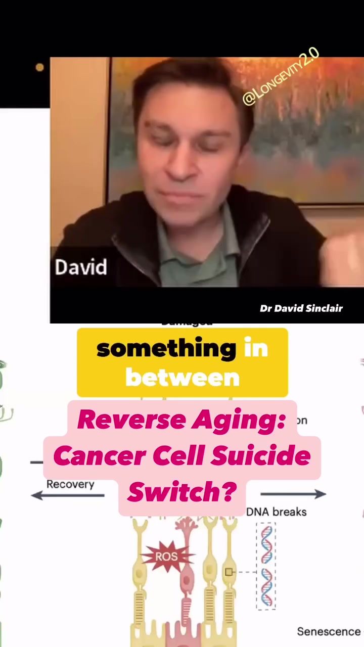 Dr Sinclair Explains: Reversing Aging and Cancer Cell Suicide