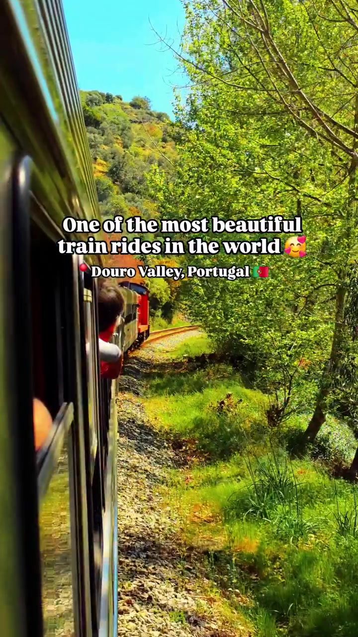 Scenic Train Ride Through Portugal's Douro Valley