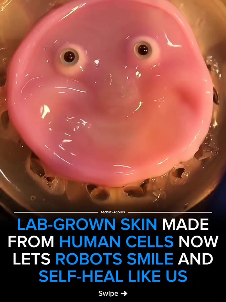 Robots with Living, Self-Healing Human Skin