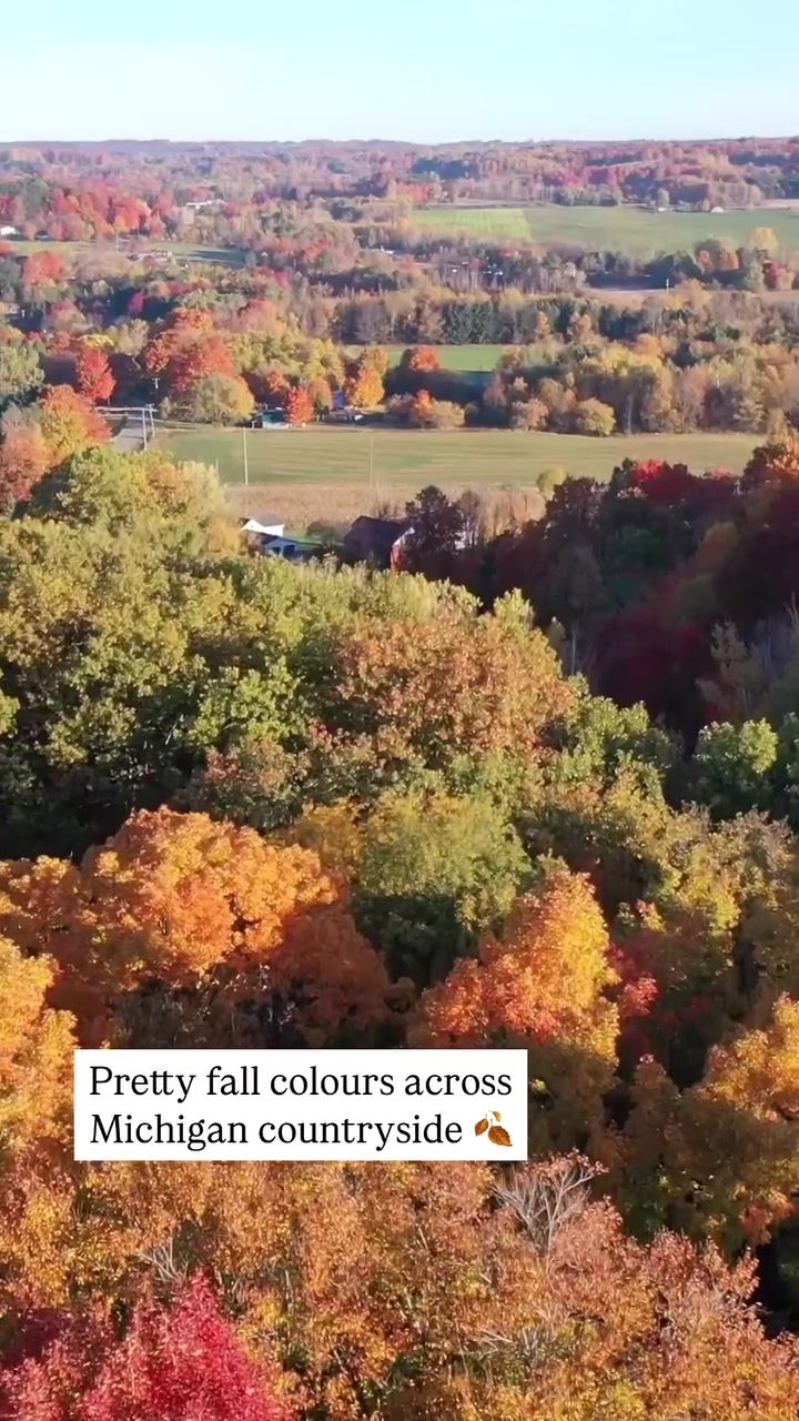 Experience Michigan's Fall Colors: Aerial Views of Vibrant Countryside