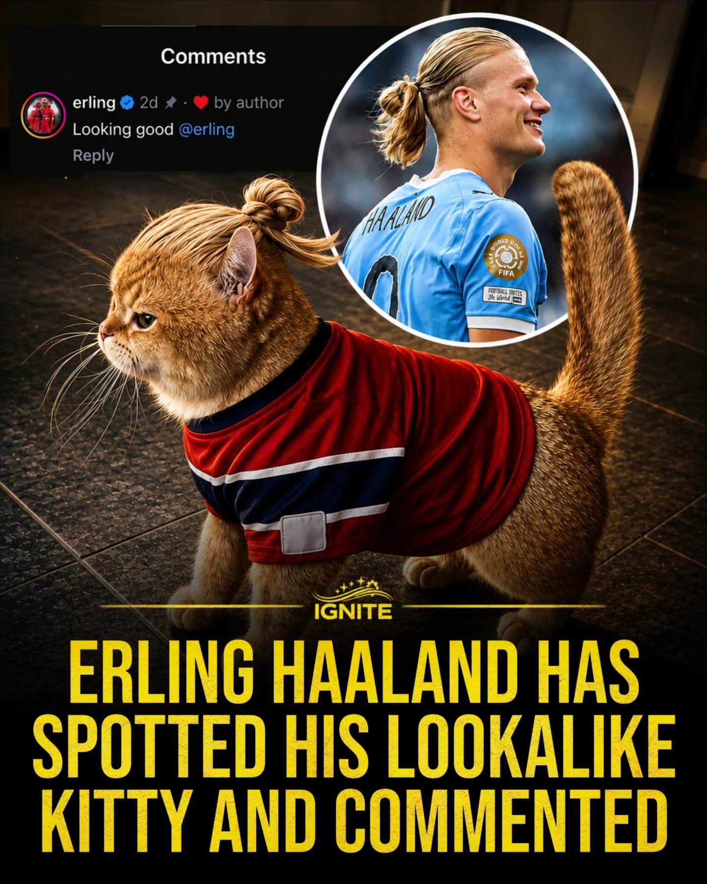 Erling Haaland's Feline Lookalike in IGNITE Jersey Goes Viral