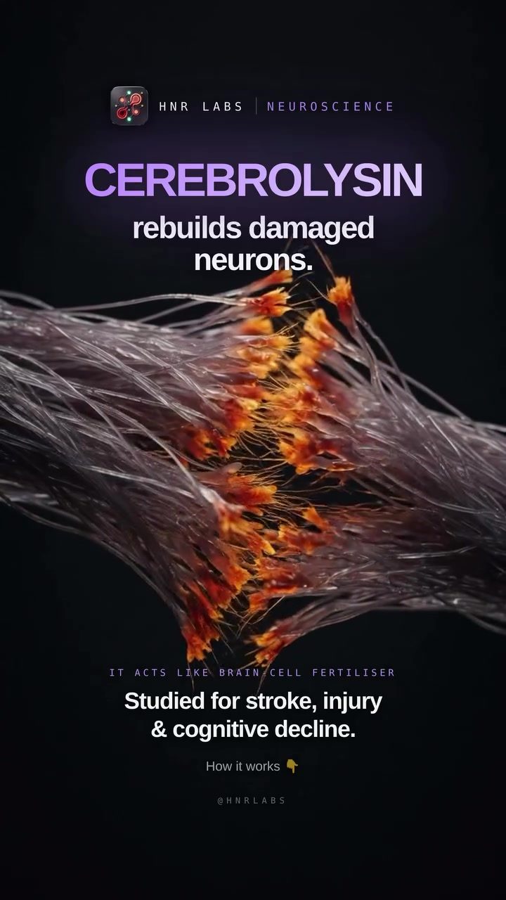 Discover How Cerebrolysin Promotes Brain Cell Regeneration