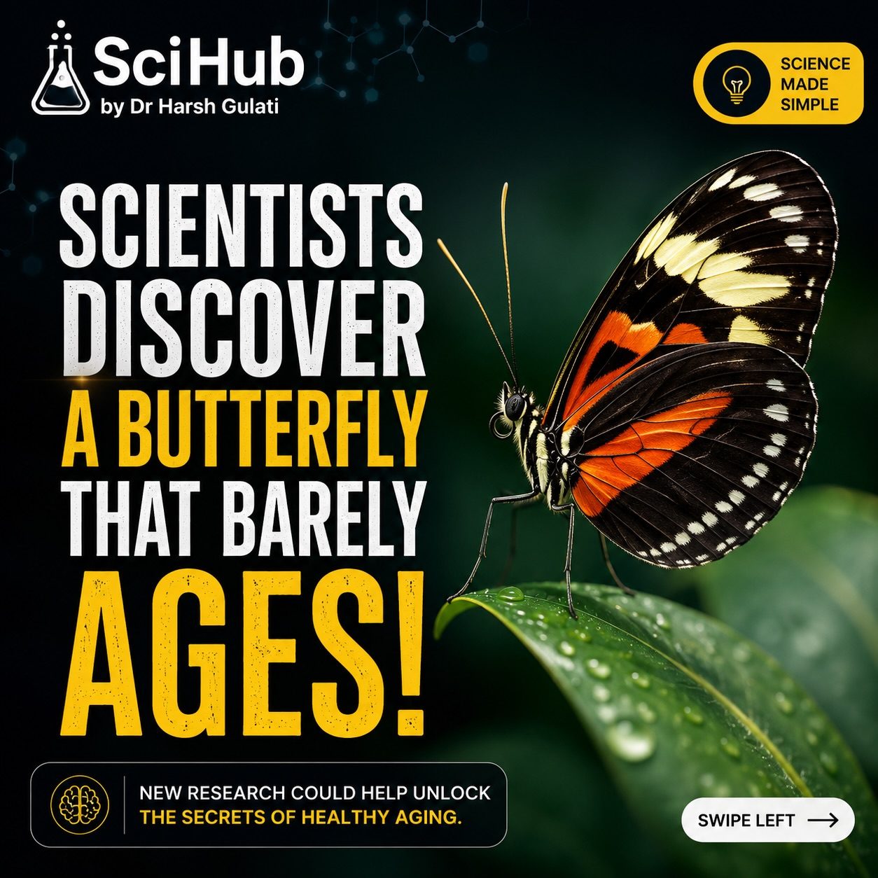 Unlocking the Secrets: Butterfly Genius of Slow Aging