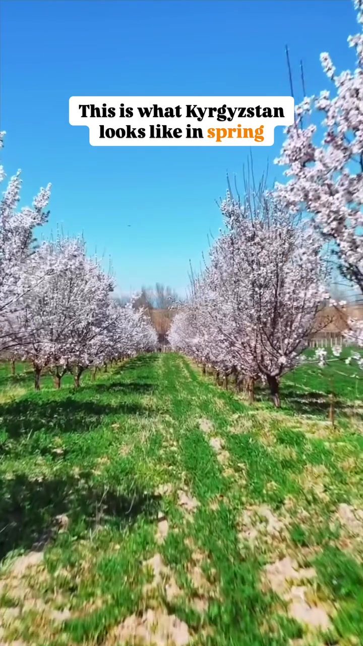 Experience Kyrgyzstan's Spring: Magical Landscapes and Cultural Richness