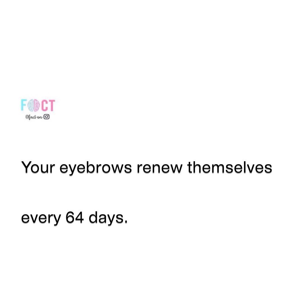 Eyebrows Renew Every 64 Days: Fact on Natural Growth