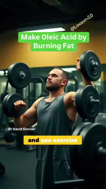 Dr. David Sinclair: How Oleic Acid Helps Fat Burn