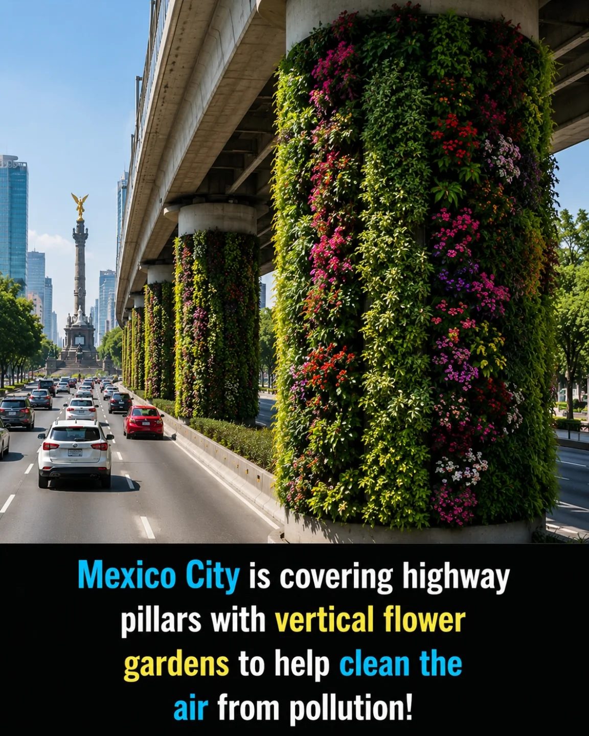 Mexico City's Vertical Gardens: Beautifying Highways, Fighting Pollution