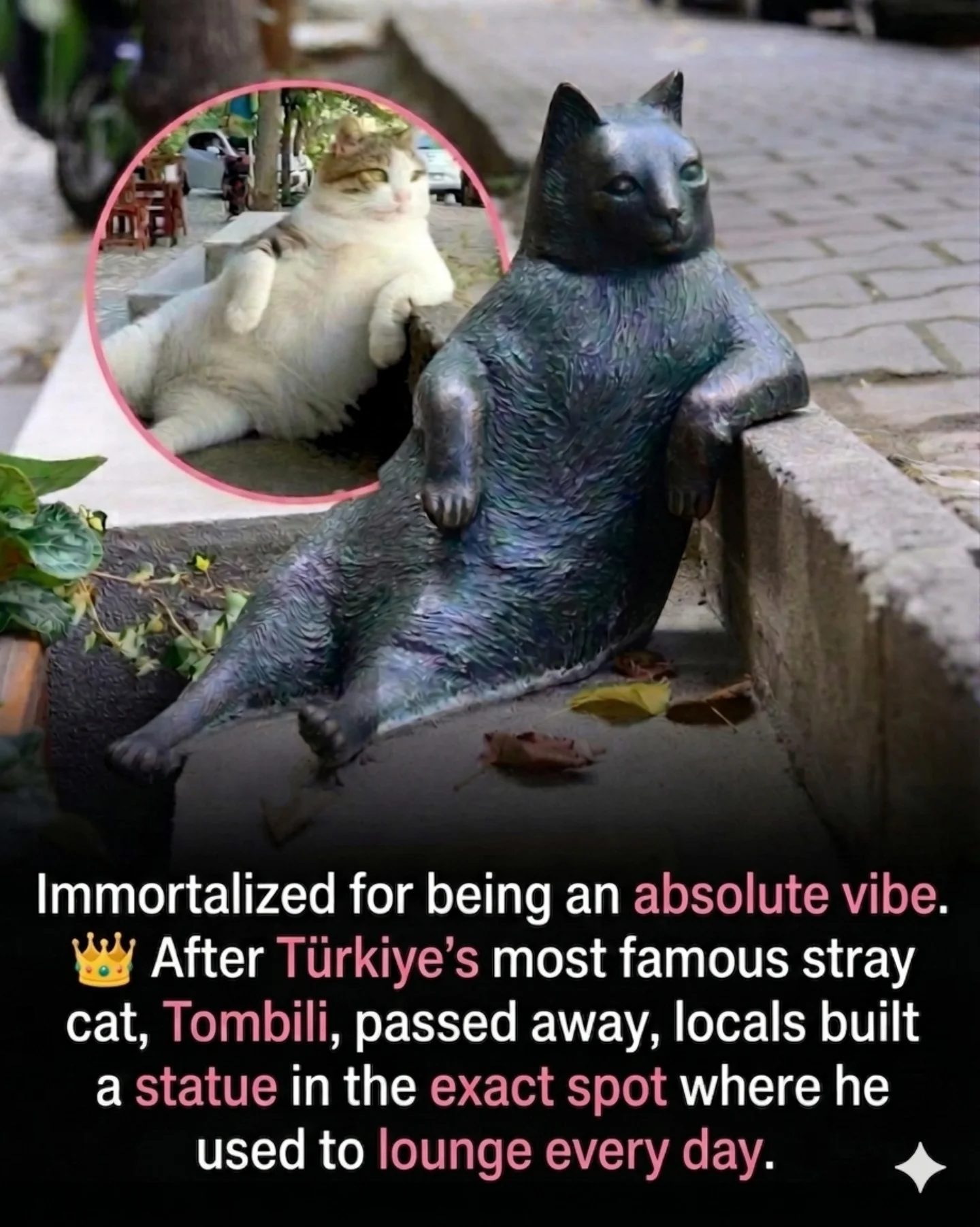 Tombili's Statue: Honoring Istanbul's Beloved Stray Cat