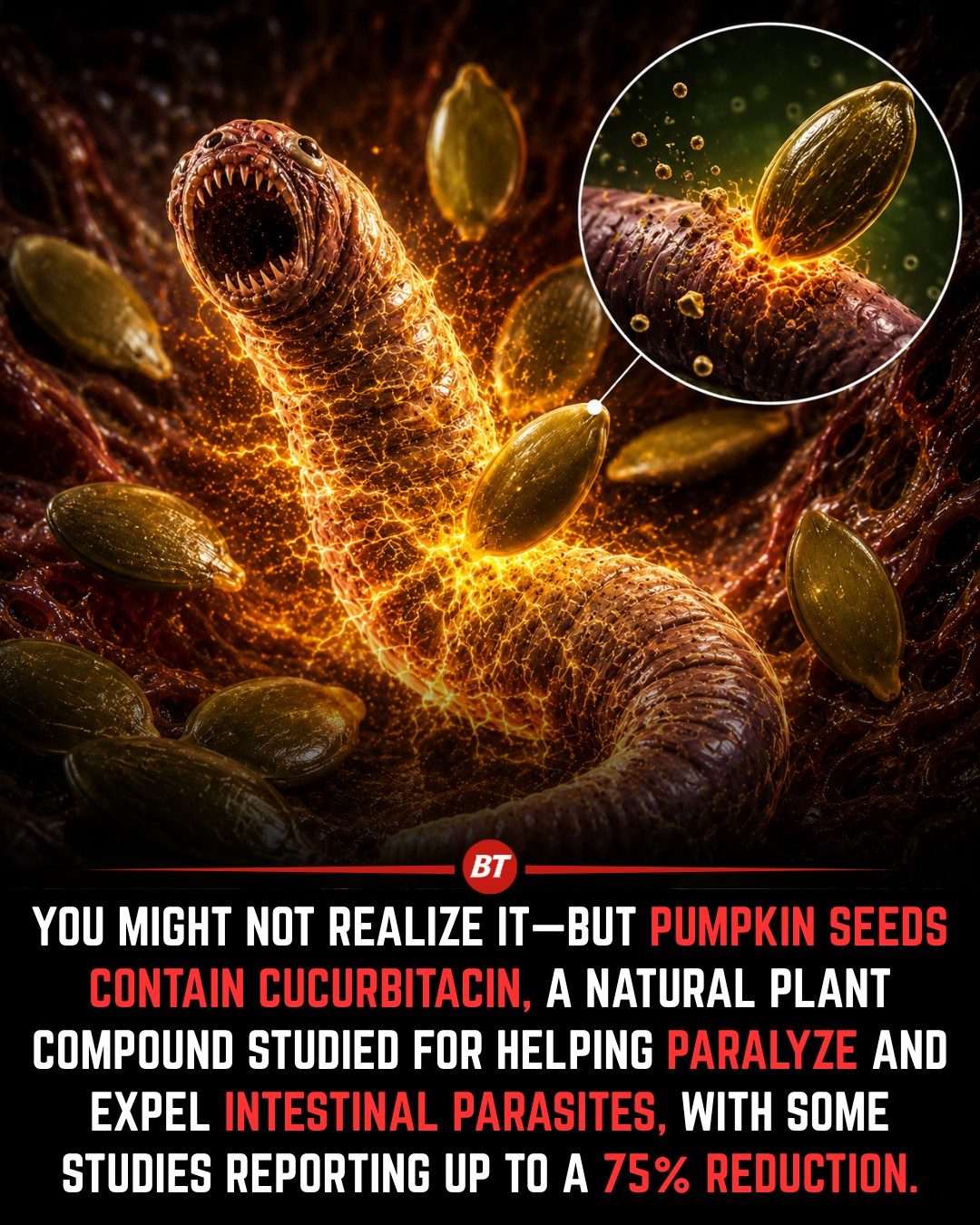 Pumpkin Seed Benefits: Fights Parasites Naturally