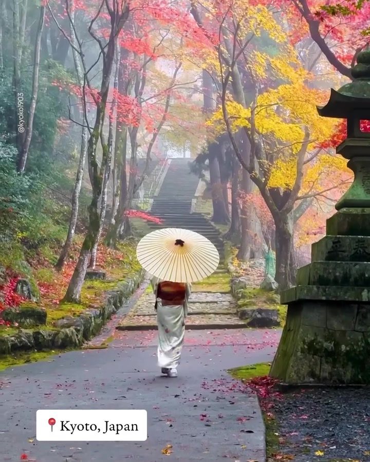 Kyoto's Autumn Foliage: A Visual Feast in Japan