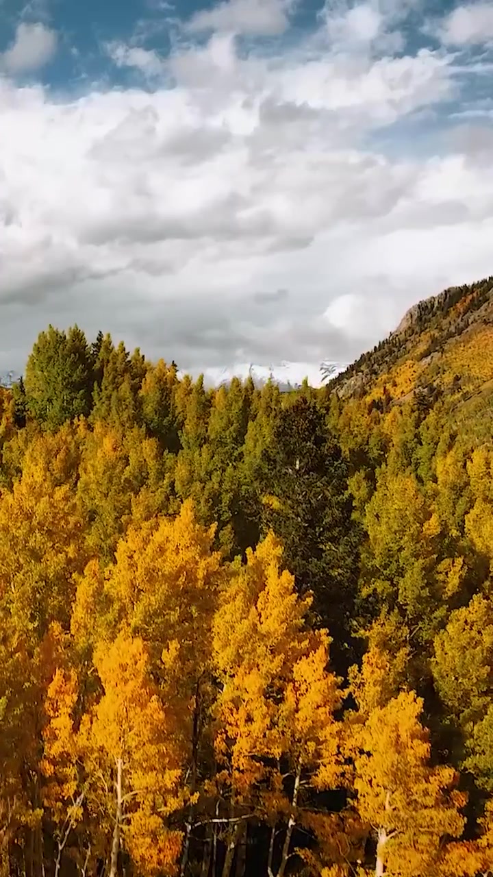 Autumn Mountain Drive: Scenic Fall Foliage