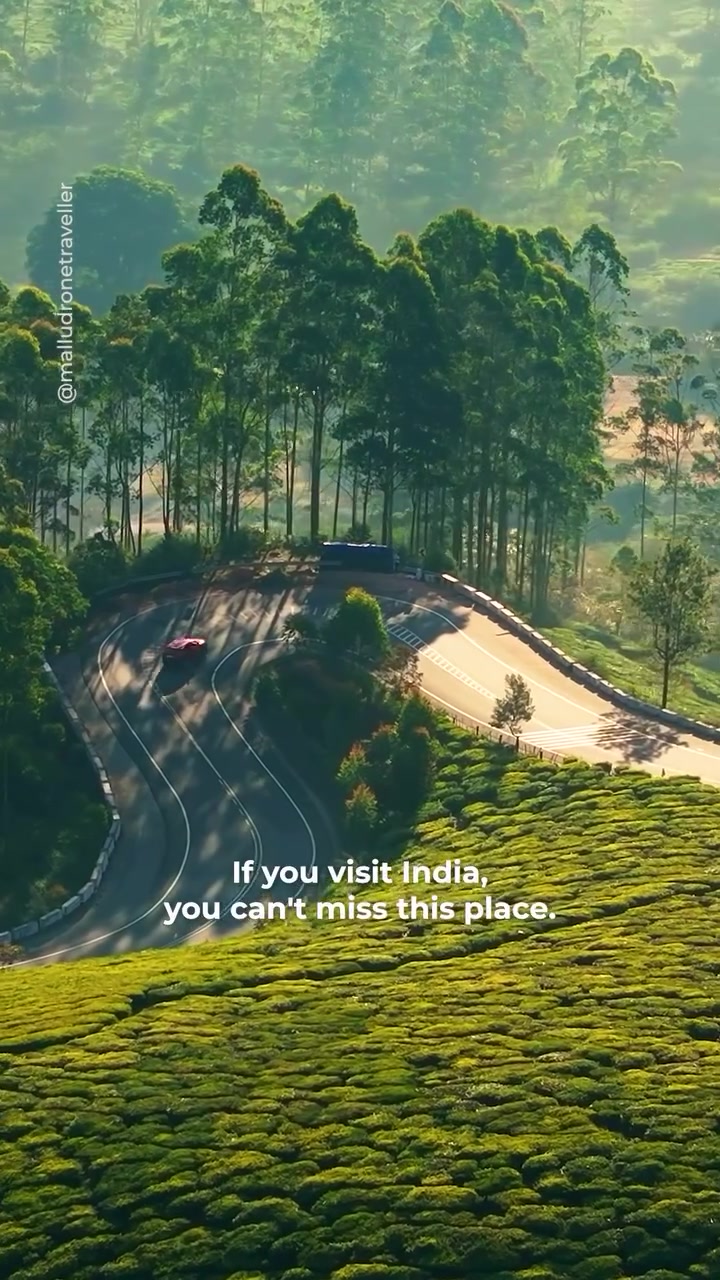 Munnar Kerala Tea Plantations and Mountain Views