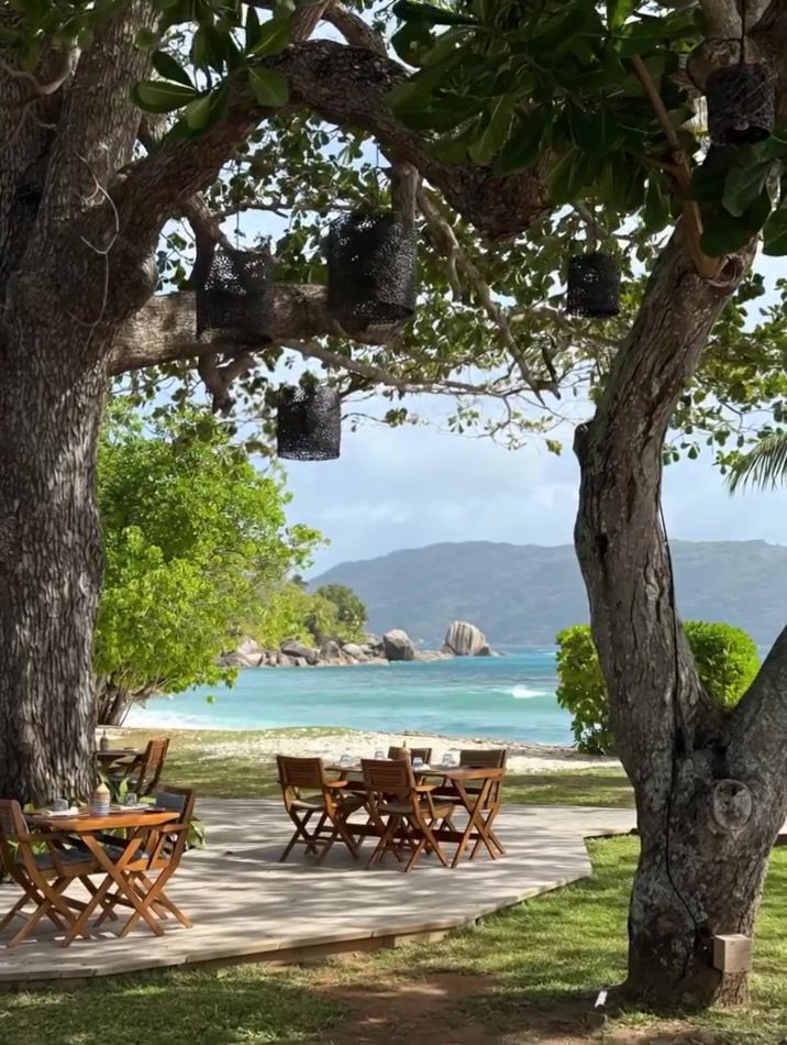 Indulge in Serene Beachside Dining: Nature's Perfect Pairing