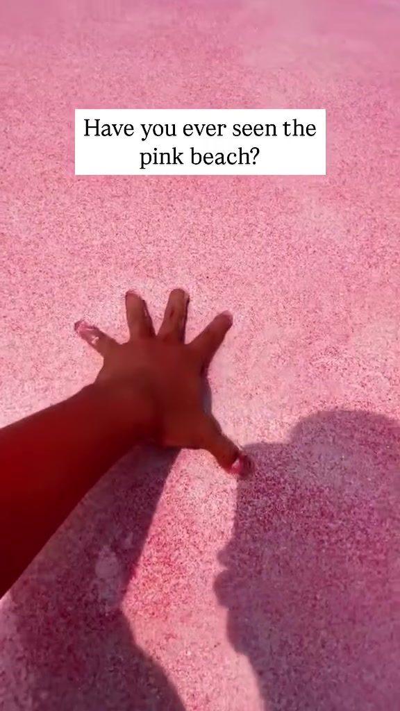 Exploring Pink Beach: Komodo's Pink Sand Wonder