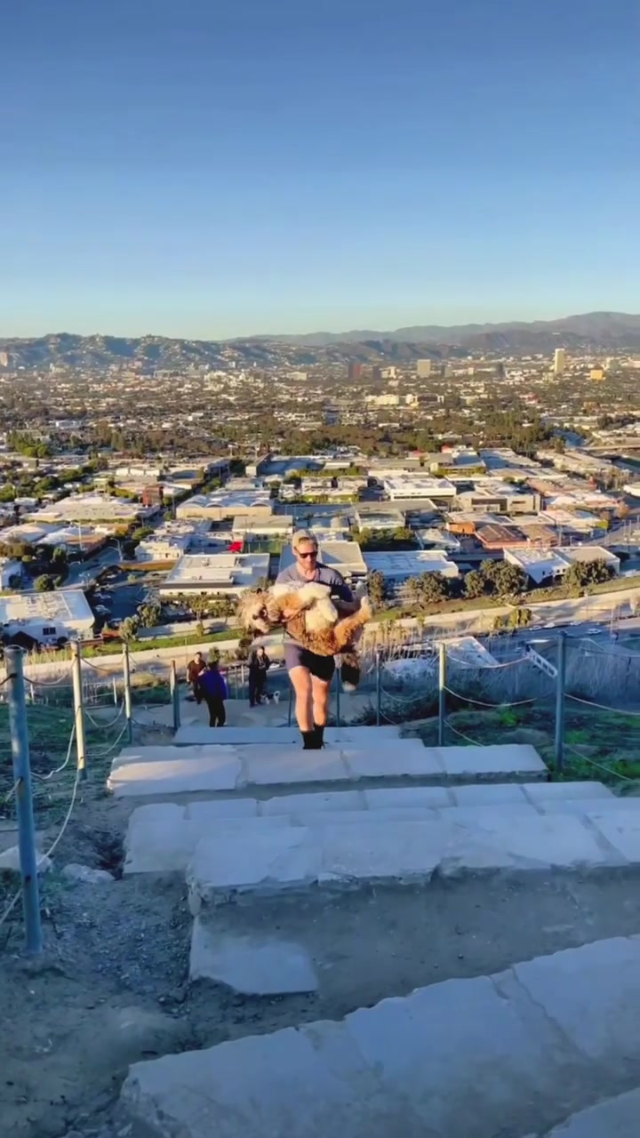 Man Carrying Dogs Up Stairs in Cityscape