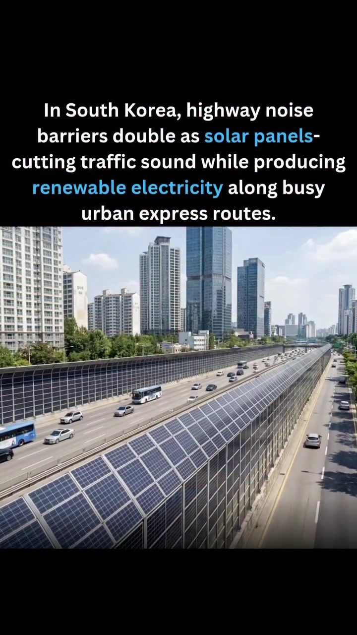 Solar Noise Barriers in South Korea: Reducing Traffic Noise and Generating Power