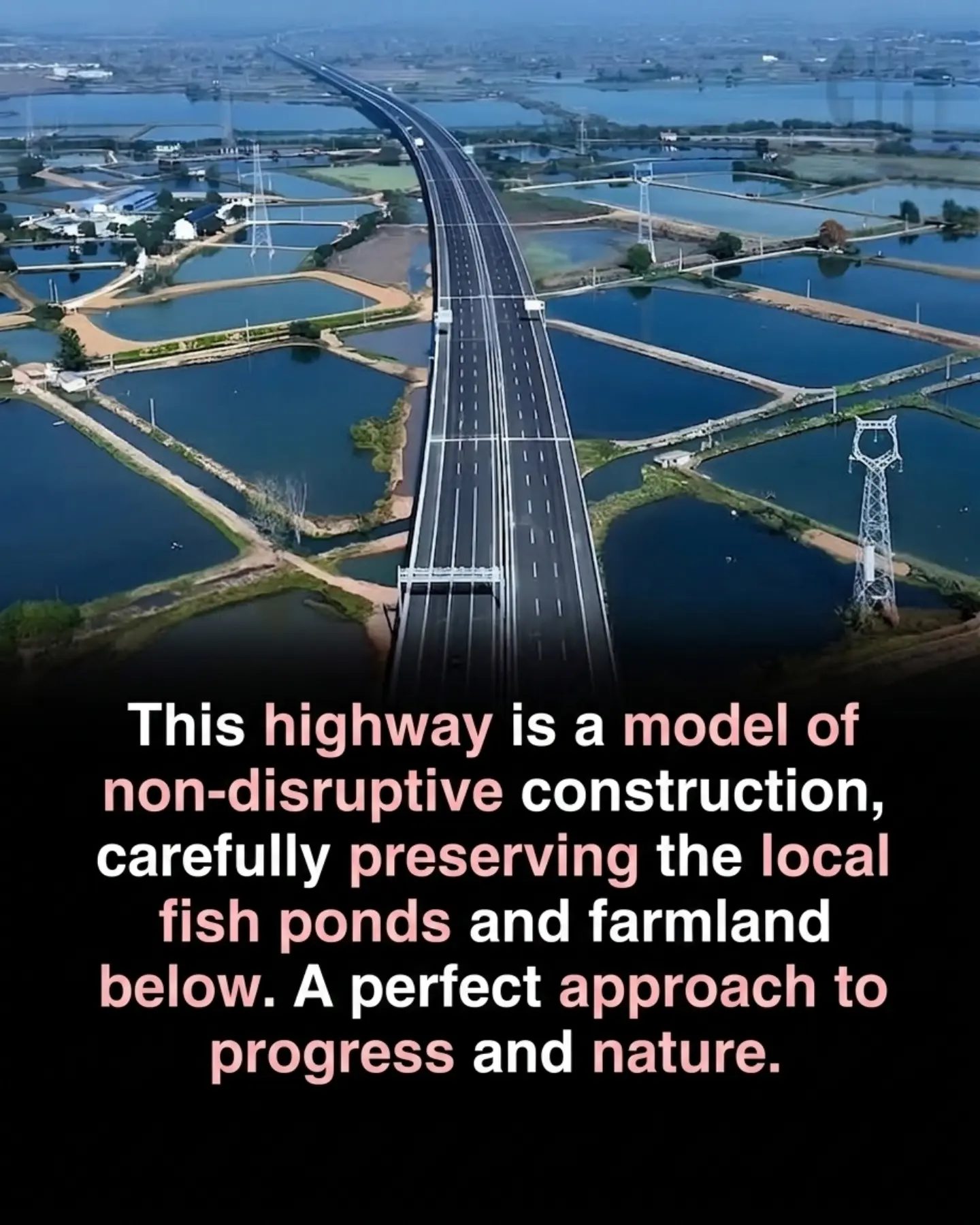 Responsible Highway Construction: Protecting Nature