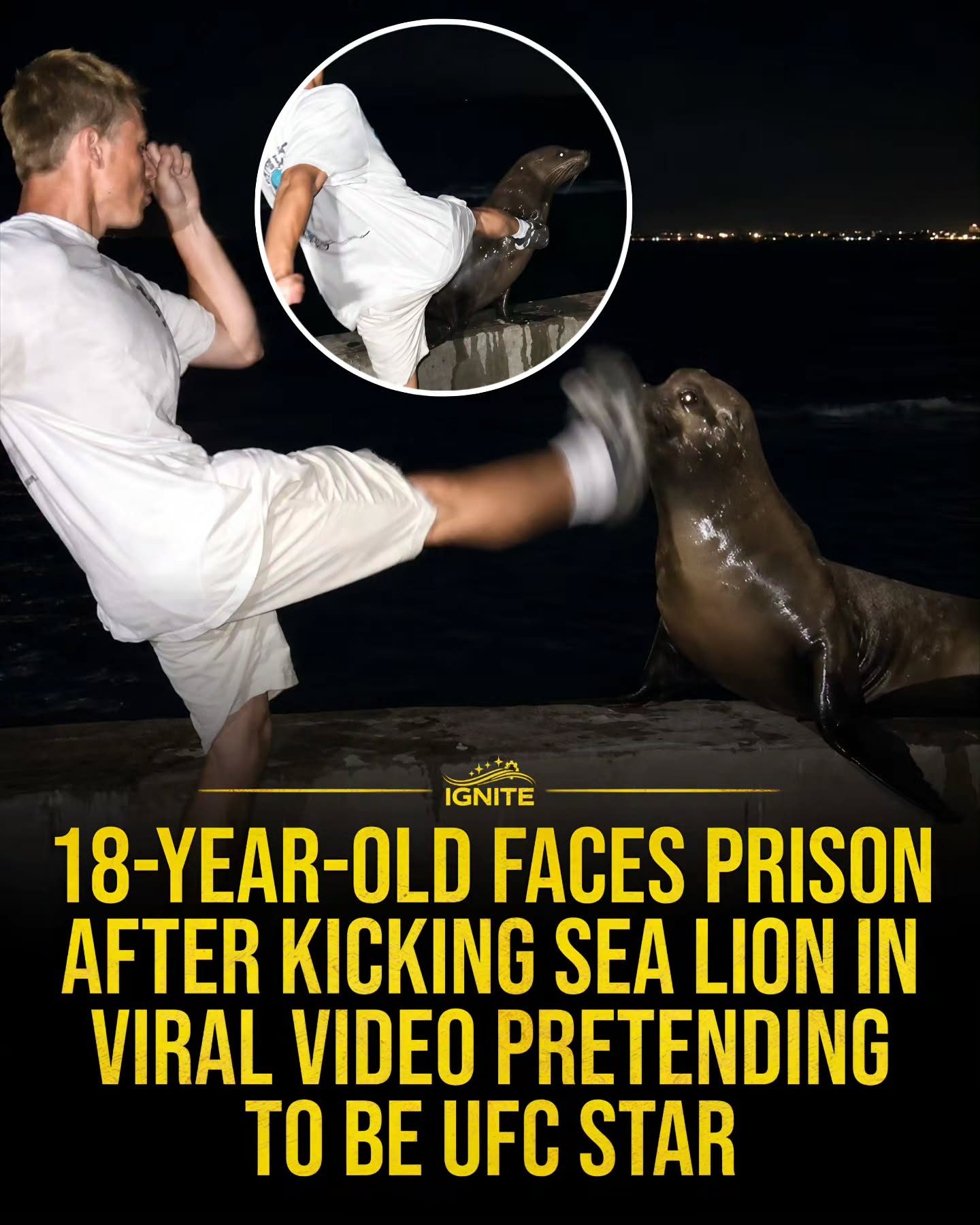 18-Year-Old Faces Prison for Kicking Sea Lion in Viral UFC Video