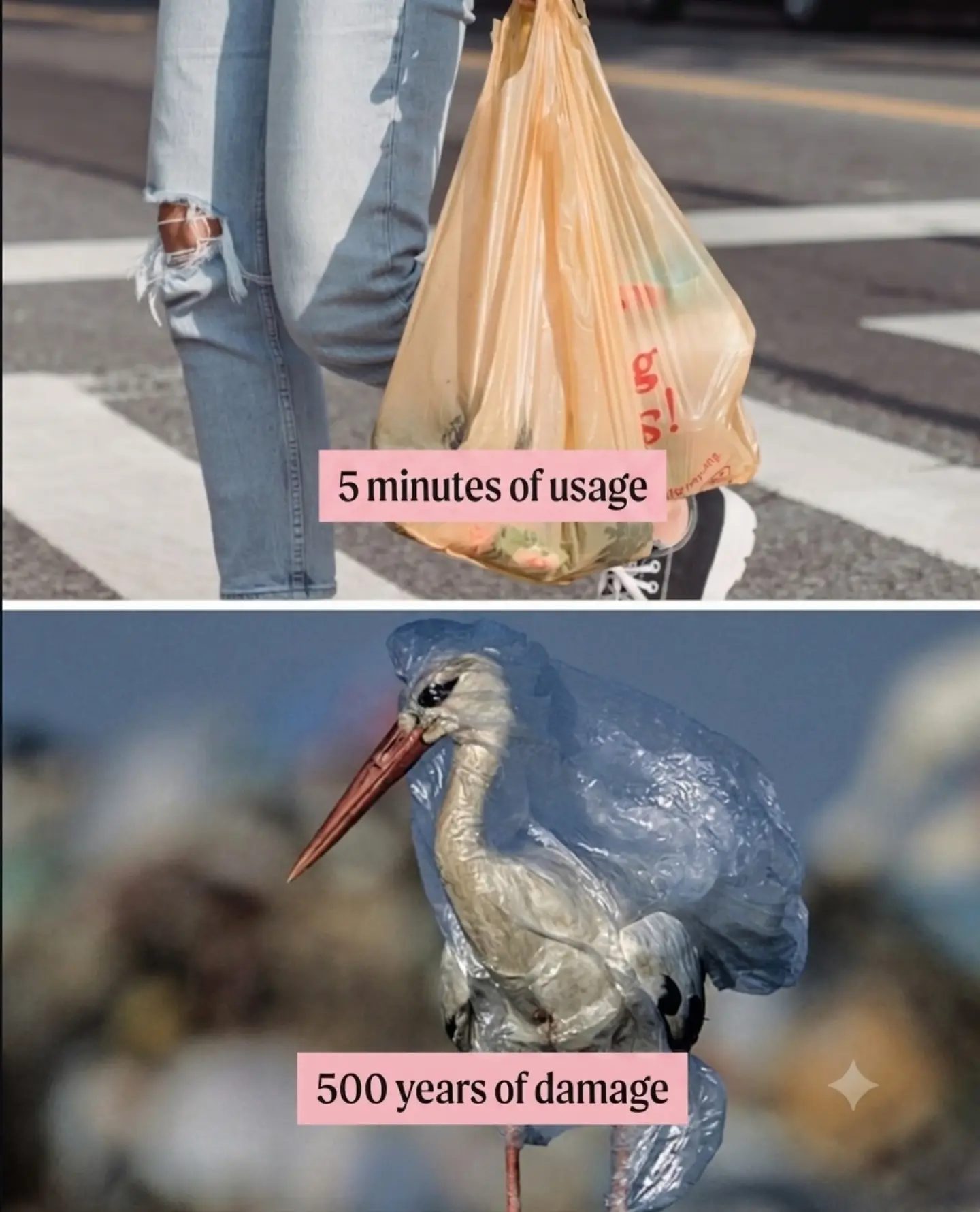 Short-term Convenience, Long-term Damage: Plastic Bag Impact