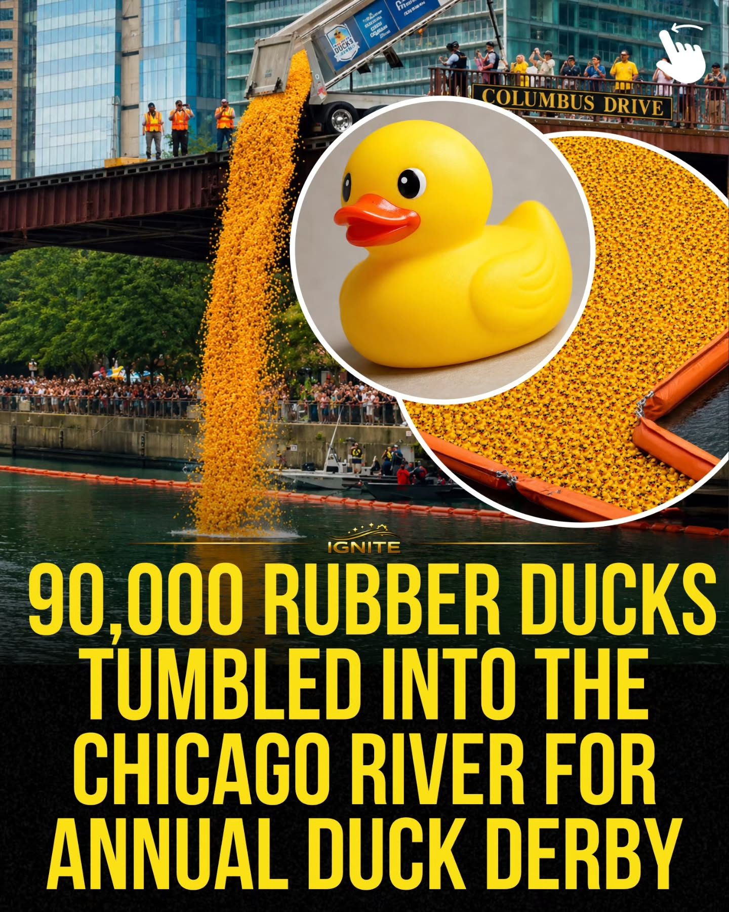 90,000 Ducks Float Down Chicago River for Charity