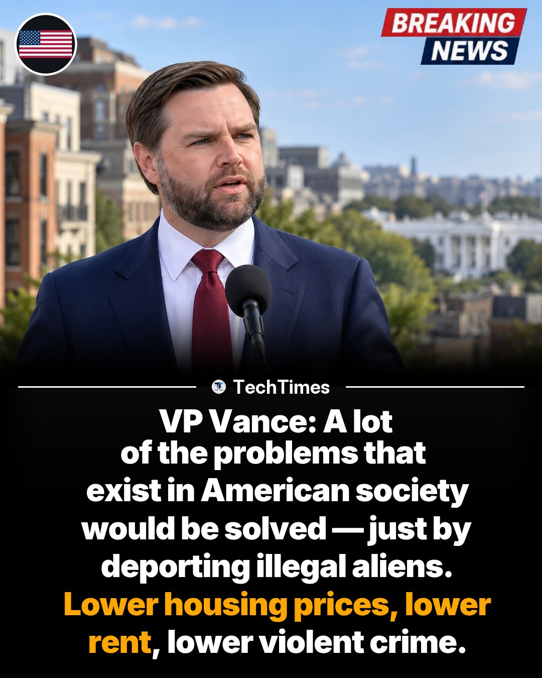 VP Vance: Deporting Illegal Aliens to Solve US Issues