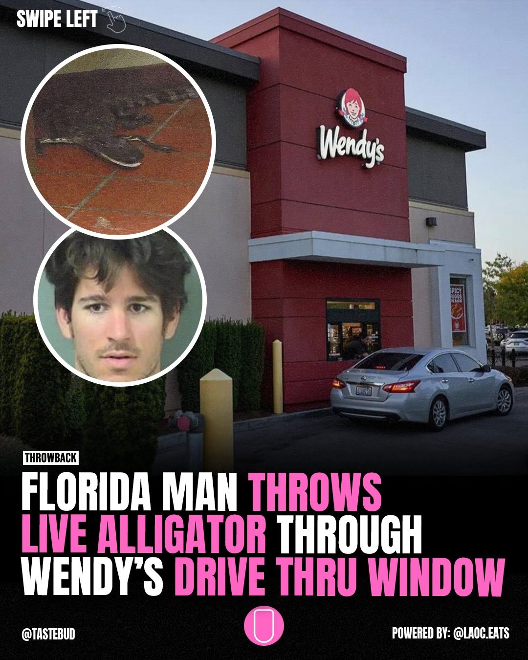 Florida Man's Wild Move: Throwing an Alligator at Wendy's