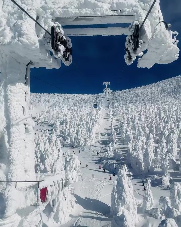 Japan's Top Ski Resorts: Niseko, Hakuba, and Nozawa Onsen
