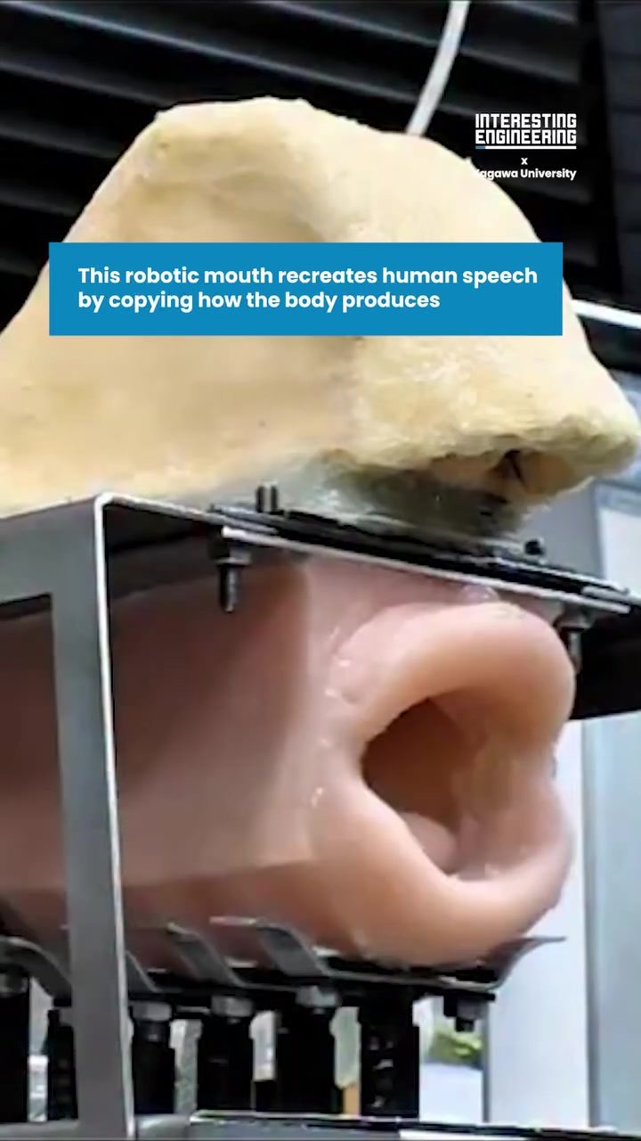 A Robotic Mouth That Mimics Human Speech: Kagawa University's Innovation