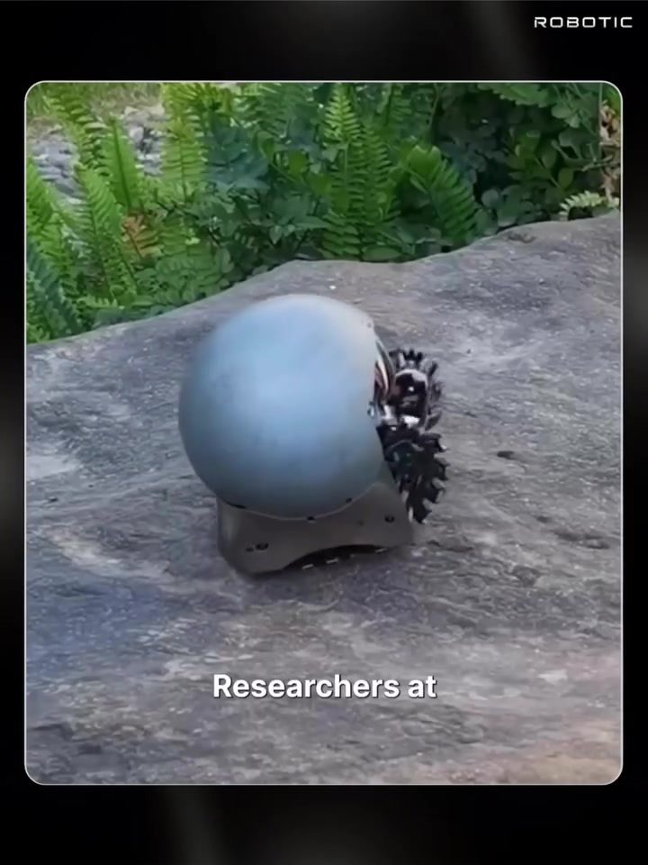 Snail Robots: Innovative Design and Real-World Applications