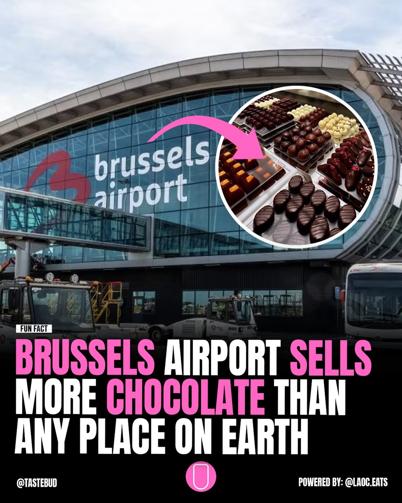 Why Brussels Airport is the World's Chocolate Hub