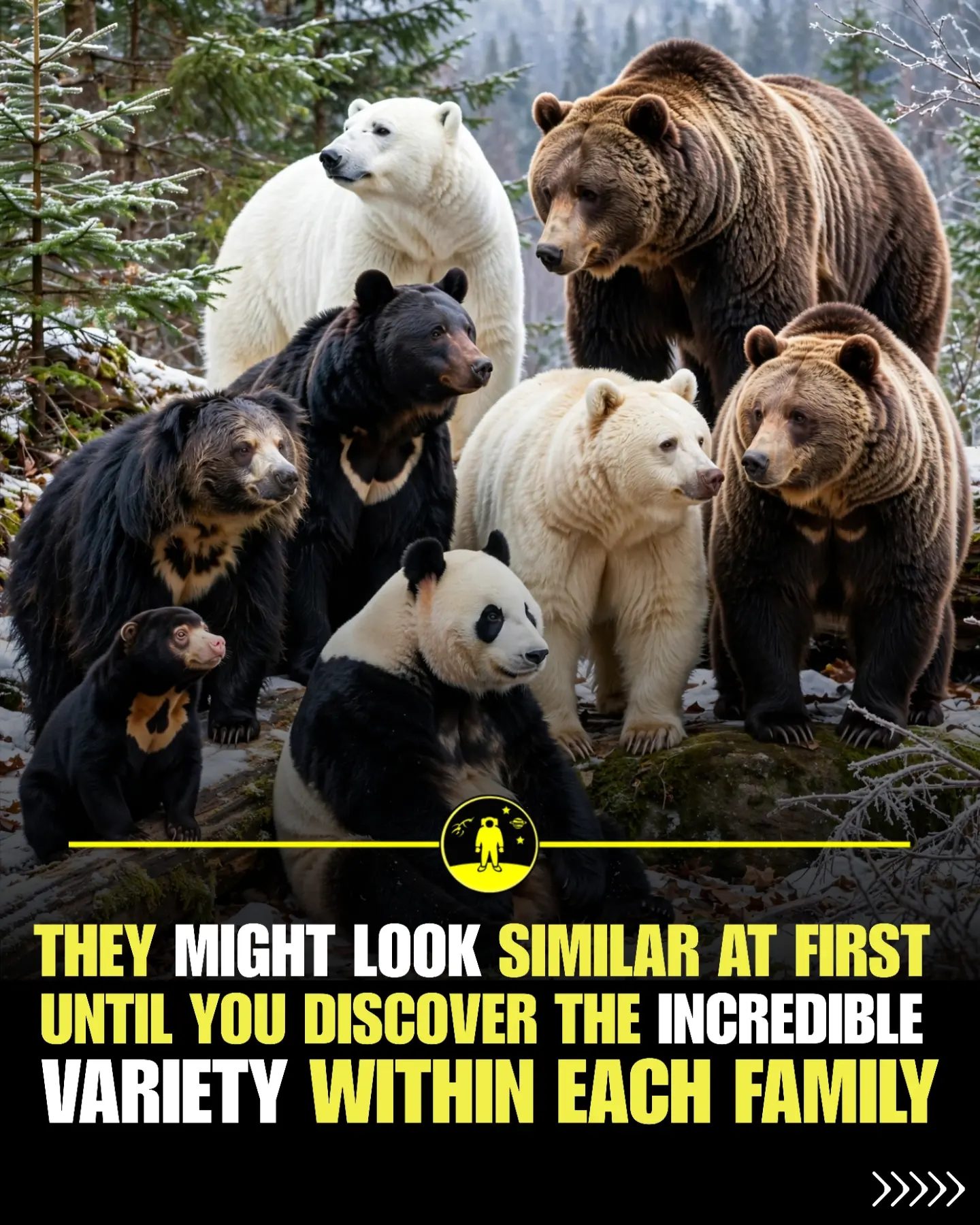 The Astonishing Diversity Within Animal Families