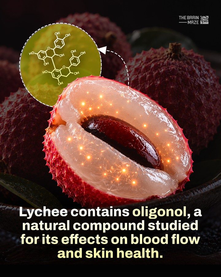 Lychee's Oligonol: Boosting Blood Flow and Skin Health