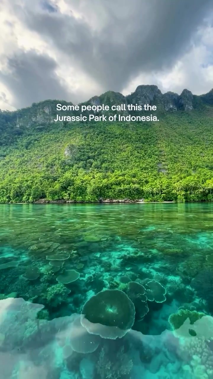 Explore North Seram Island: Indonesia's Jurassic Park Paradise