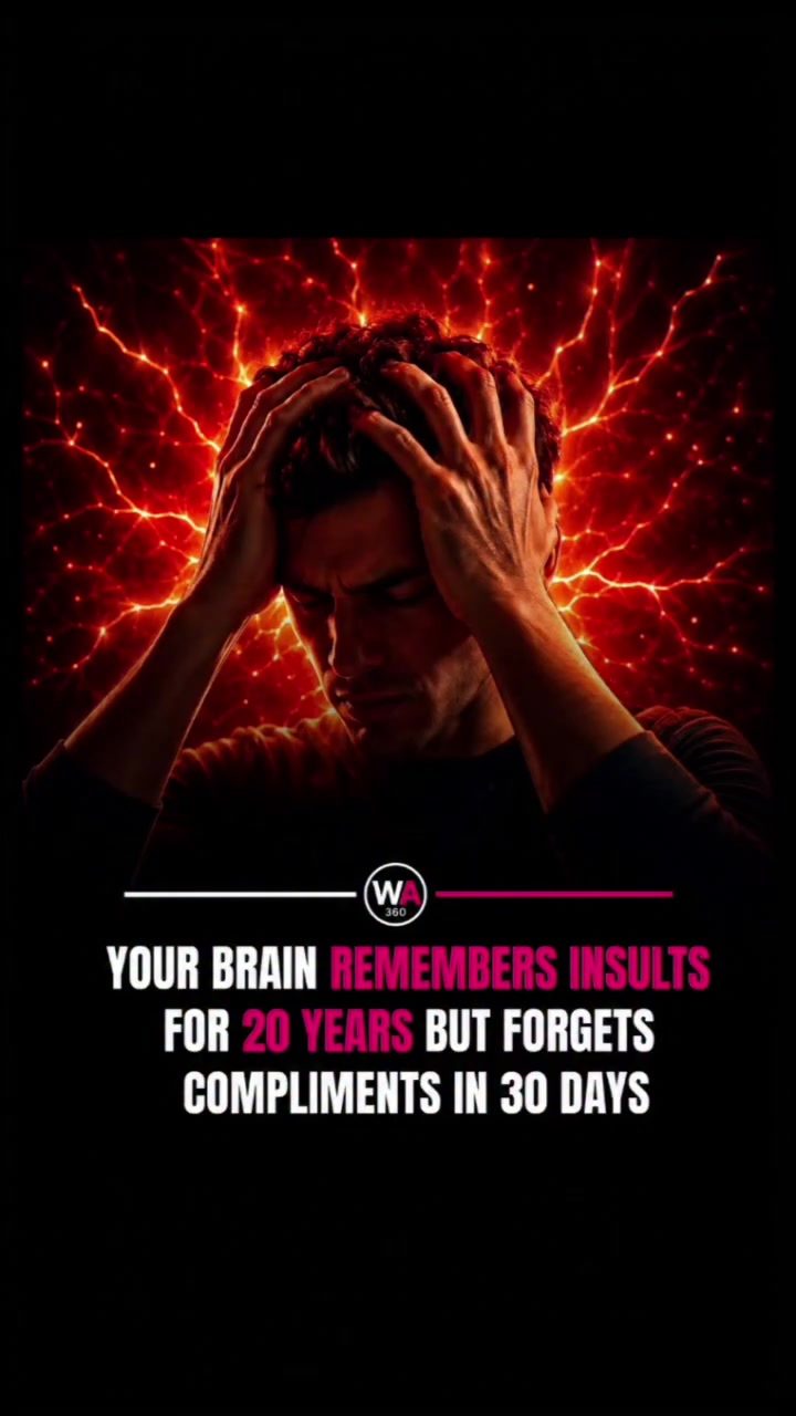 Brain Bias: How Insults Outlast Compliments in Memory
