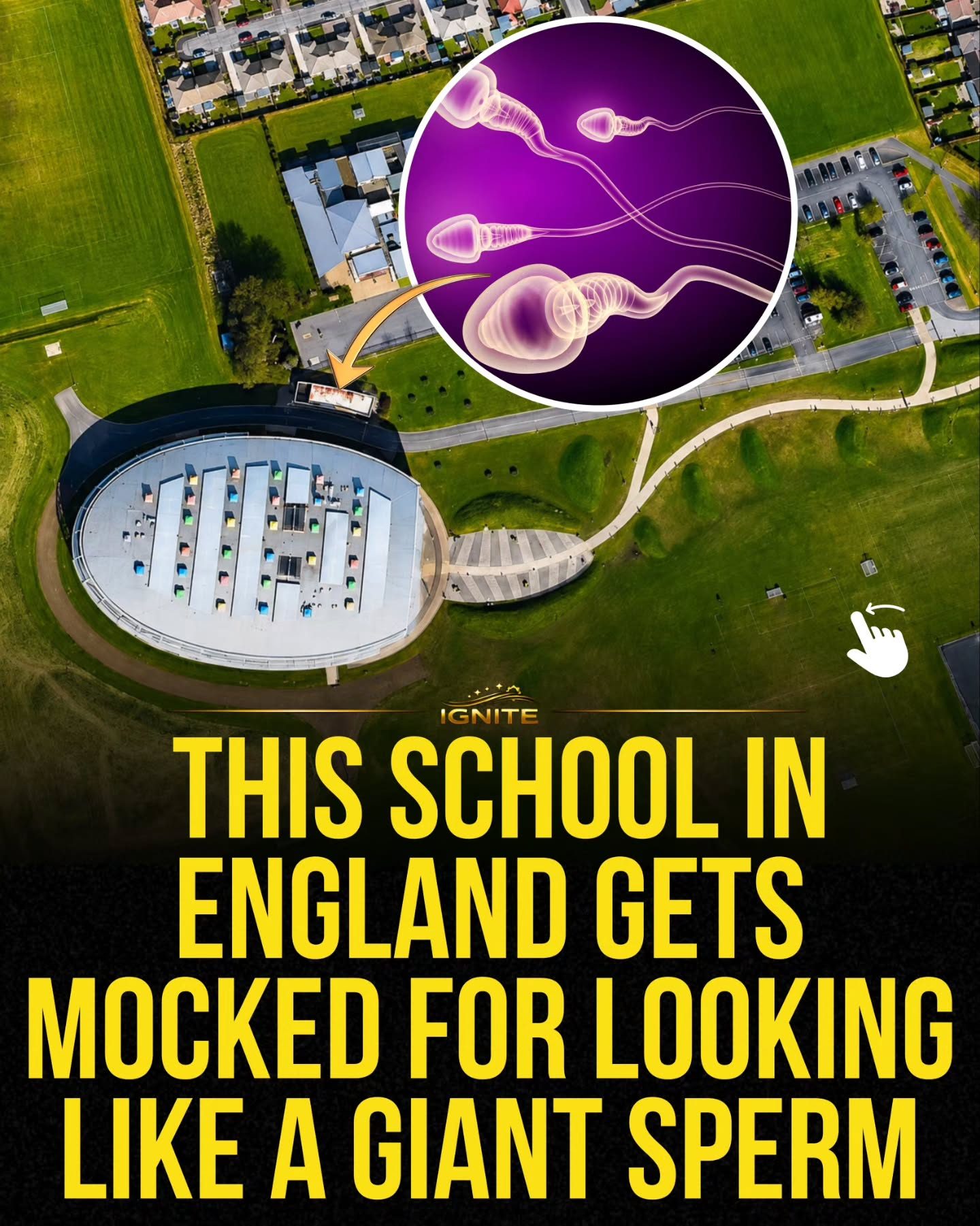 School Design Sparks Debate: England's Sperm-Shaped School