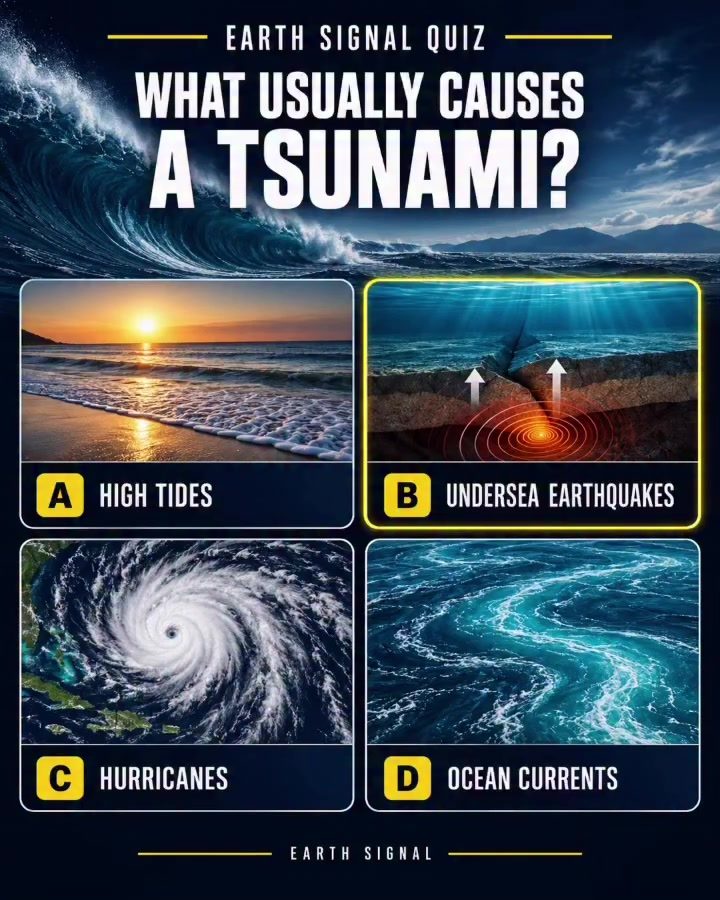 Earth Signal Quiz: Tsunami Causes Explained