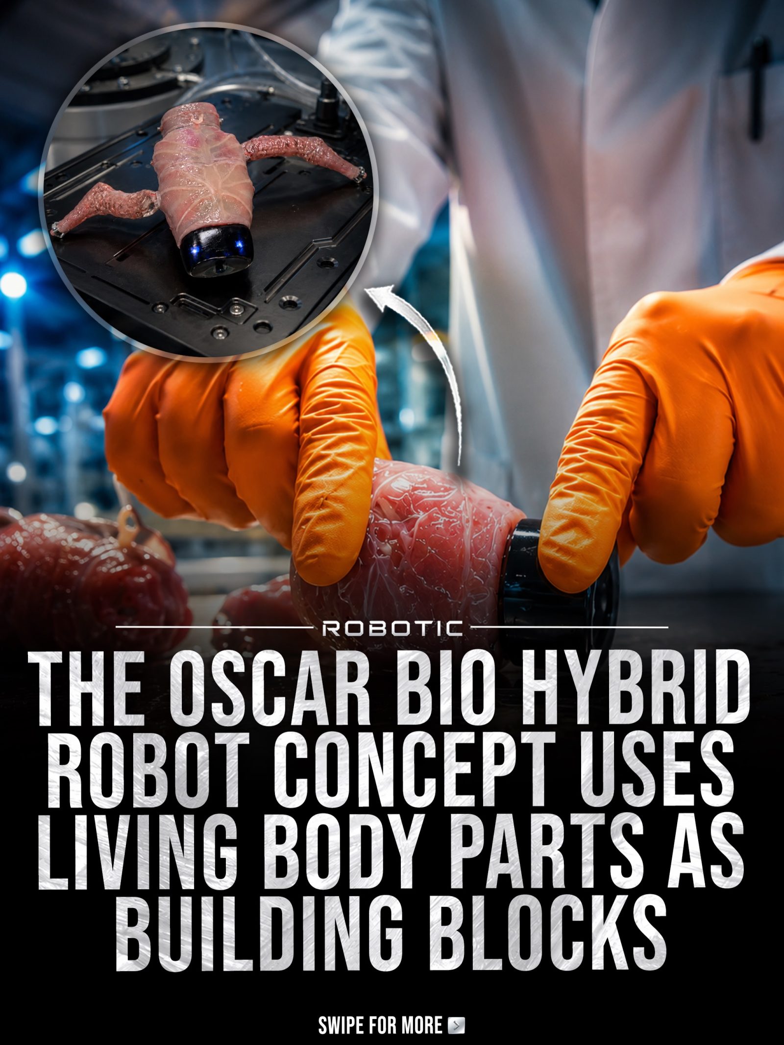 Exploring Oscar: The Bio-Hybrid Robot Concept