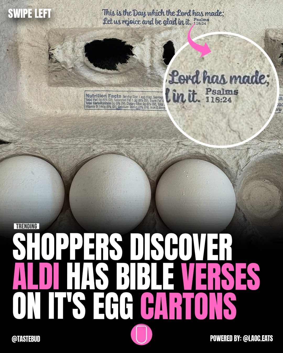 Aldi's Bible Verses on Egg Cartons: A Heartwarming Tradition