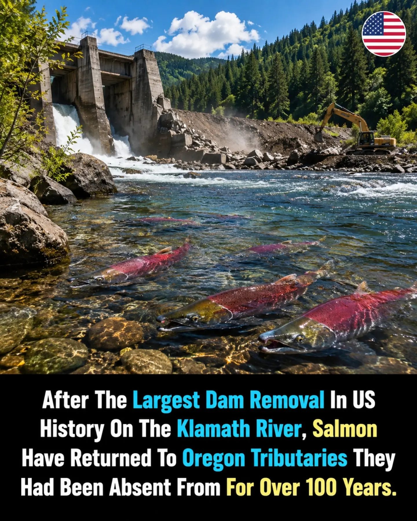 Salmon Return to Klamath River After Century-Long Absence