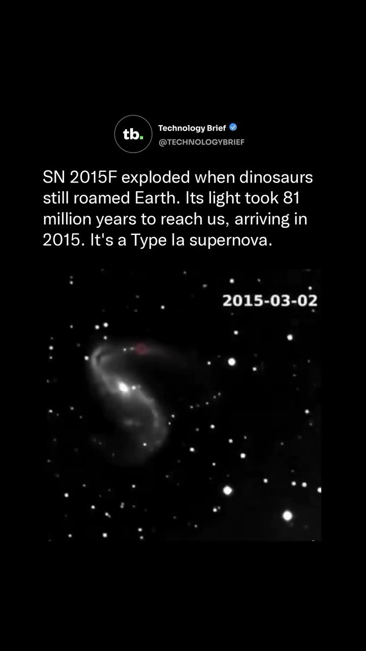 The Fascinating Journey of Supernova Light from 81 Million Years Ago