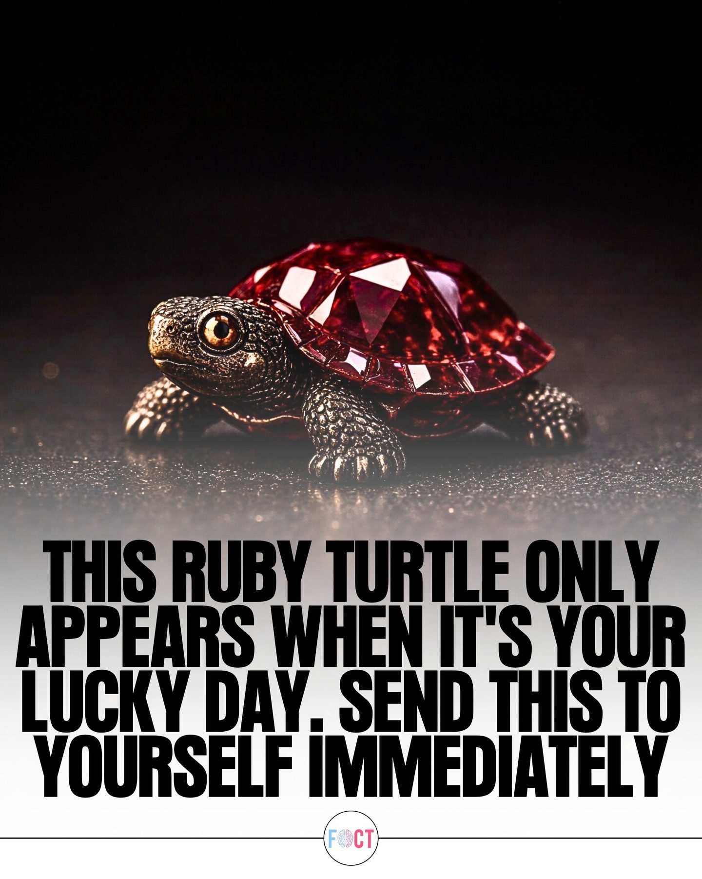 Ruby Turtle: A New Lucky Charm for Your Day