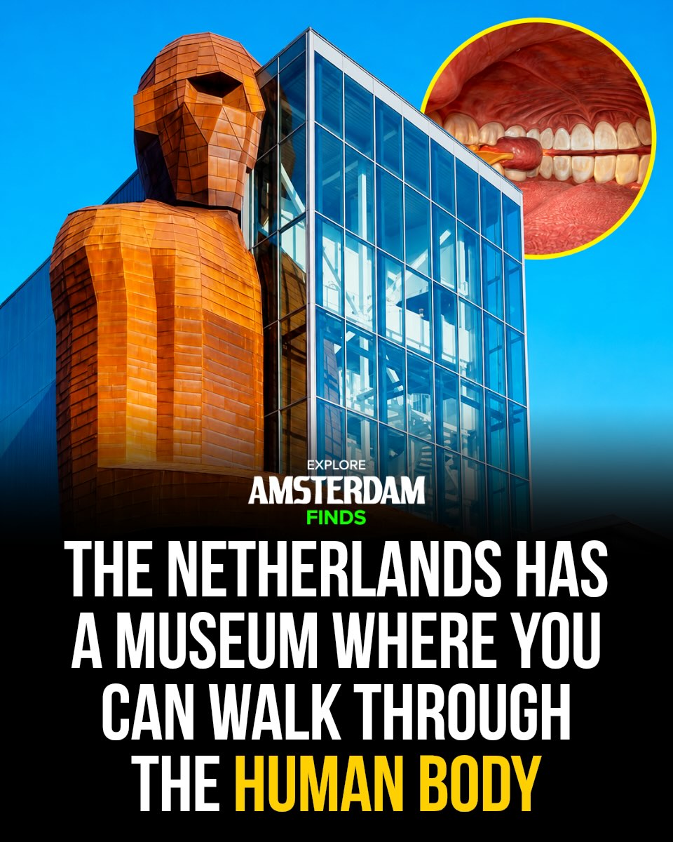 Explore the Unique Human Body Museum in the Netherlands